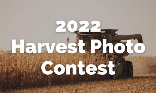 Photo Contest Business Card